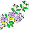   - www.tambour.ru
