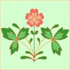  - www.tambour.ru